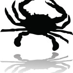 Crab Image